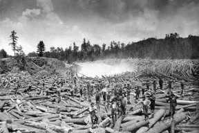 凤凰娱乐体育 -?蜶磞垦艧顤的简单介绍